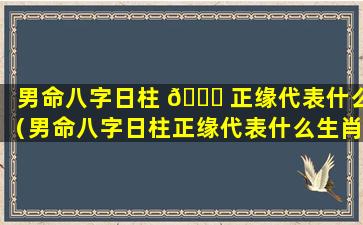 男命八字日柱 🐈 正缘代表什么（男命八字日柱正缘代表什么生肖）